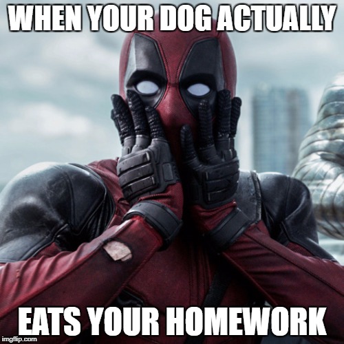 this just happened to me! :'( |  WHEN YOUR DOG ACTUALLY; EATS YOUR HOMEWORK | image tagged in deadpool shocked 2 | made w/ Imgflip meme maker