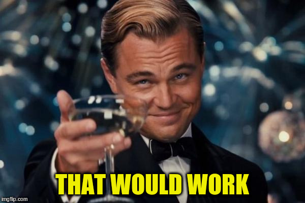 Leonardo Dicaprio Cheers Meme | THAT WOULD WORK | image tagged in memes,leonardo dicaprio cheers | made w/ Imgflip meme maker