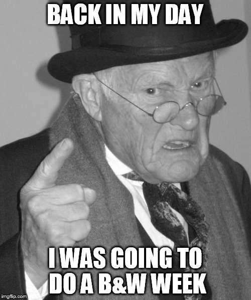 Back in my day | BACK IN MY DAY I WAS GOING TO DO A B&W WEEK | image tagged in back in my day | made w/ Imgflip meme maker