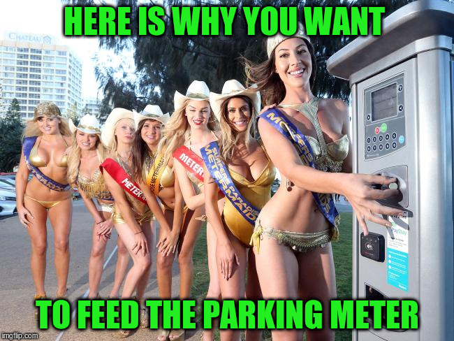 HERE IS WHY YOU WANT TO FEED THE PARKING METER | made w/ Imgflip meme maker