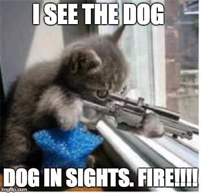 cats with guns | I SEE THE DOG; DOG IN SIGHTS. FIRE!!!! | image tagged in cats with guns | made w/ Imgflip meme maker