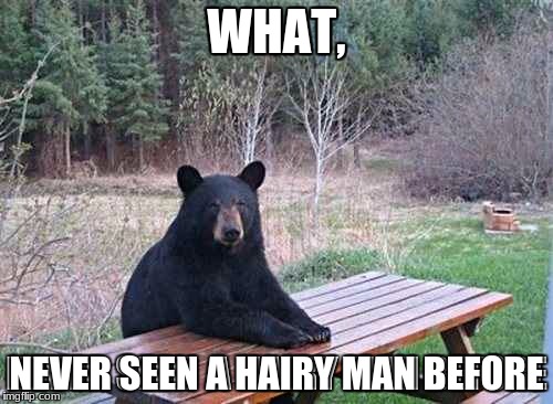 MY FIRST MEME  | WHAT, NEVER SEEN A HAIRY MAN BEFORE | image tagged in bear,funny | made w/ Imgflip meme maker
