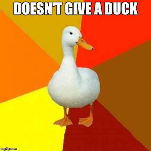 Tech Impaired Duck | DOESN'T GIVE A DUCK | image tagged in memes,tech impaired duck | made w/ Imgflip meme maker