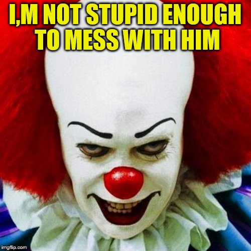 Pennywise | I,M NOT STUPID ENOUGH TO MESS WITH HIM | image tagged in pennywise | made w/ Imgflip meme maker