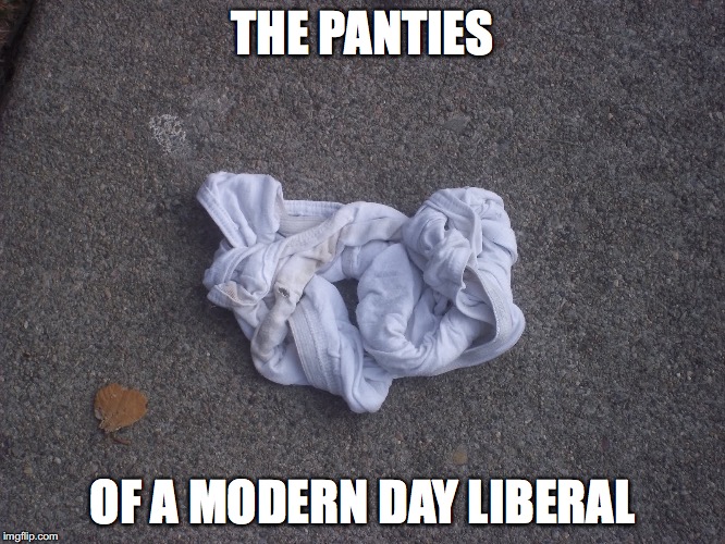 The panties of a modern day liberal | THE PANTIES; OF A MODERN DAY LIBERAL | image tagged in liberals,liberal logic,republicans,complaining,panties,salty | made w/ Imgflip meme maker