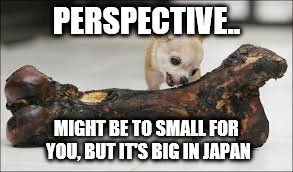 Big bone, little dog | PERSPECTIVE.. MIGHT BE TO SMALL FOR YOU, BUT IT'S BIG IN JAPAN | image tagged in imhugeinjapan | made w/ Imgflip meme maker