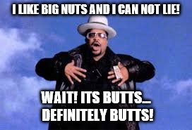 Sir mixed up a lot... | I LIKE BIG NUTS AND I CAN NOT LIE! WAIT! ITS BUTTS... DEFINITELY BUTTS! | image tagged in bigbutts,sirmixalot,confused | made w/ Imgflip meme maker