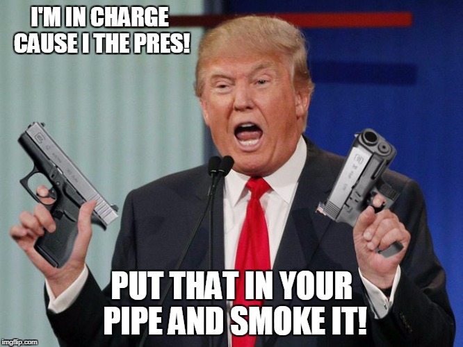 If All Else Fails Pull A Gun | I'M IN CHARGE CAUSE I THE PRES! PUT THAT IN YOUR PIPE AND SMOKE IT! | image tagged in gun trump,donald trump | made w/ Imgflip meme maker