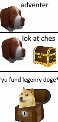 Dag Fund Doge | image tagged in dag,new meme,3d dog,memes,doge | made w/ Imgflip meme maker