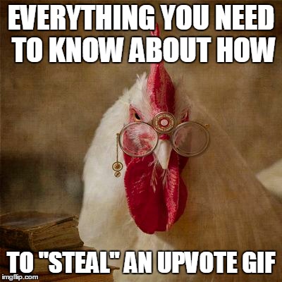 EVERYTHING YOU NEED TO KNOW ABOUT HOW TO "STEAL" AN UPVOTE GIF | made w/ Imgflip meme maker