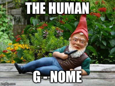 Gnomes | THE HUMAN; G - NOME | image tagged in gnomes | made w/ Imgflip meme maker