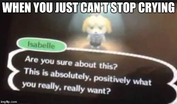 Yes I can taste the tears | WHEN YOU JUST CAN'T STOP CRYING | image tagged in animal crossing,sad | made w/ Imgflip meme maker