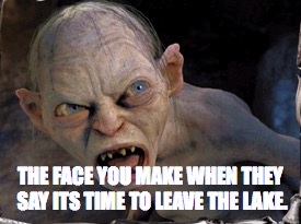 Gollum lord of the rings | THE FACE YOU MAKE WHEN THEY SAY ITS TIME TO LEAVE THE LAKE. | image tagged in gollum lord of the rings | made w/ Imgflip meme maker