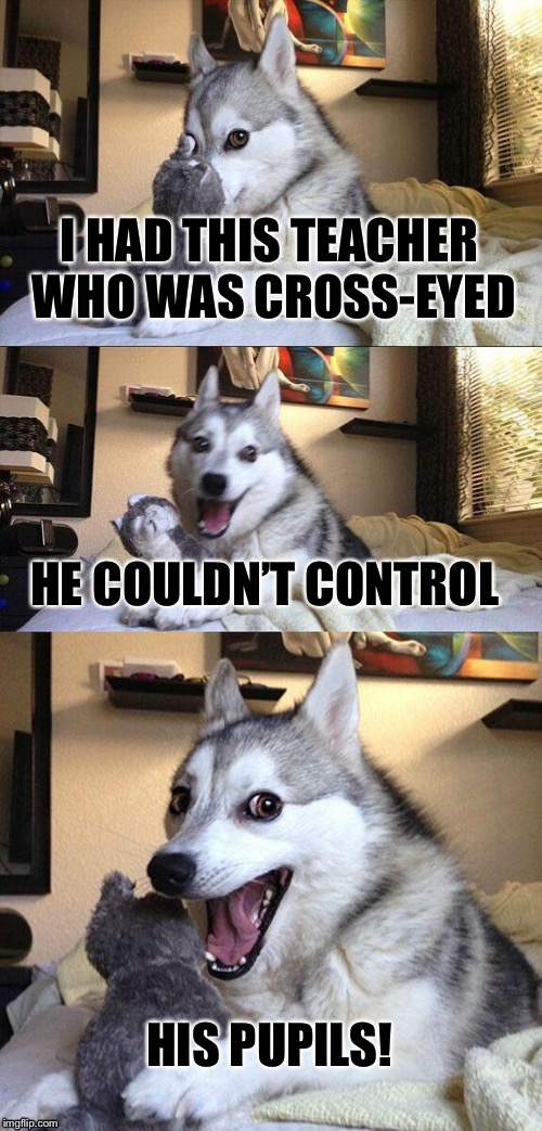 My wonky eyed teacher | I HAD THIS TEACHER WHO WAS CROSS-EYED; HE COULDN’T CONTROL; HIS PUPILS! | image tagged in memes,bad pun dog,cross eyes | made w/ Imgflip meme maker