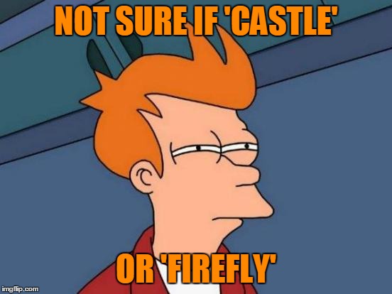 Futurama Fry Meme | NOT SURE IF 'CASTLE' OR 'FIREFLY' | image tagged in memes,futurama fry | made w/ Imgflip meme maker