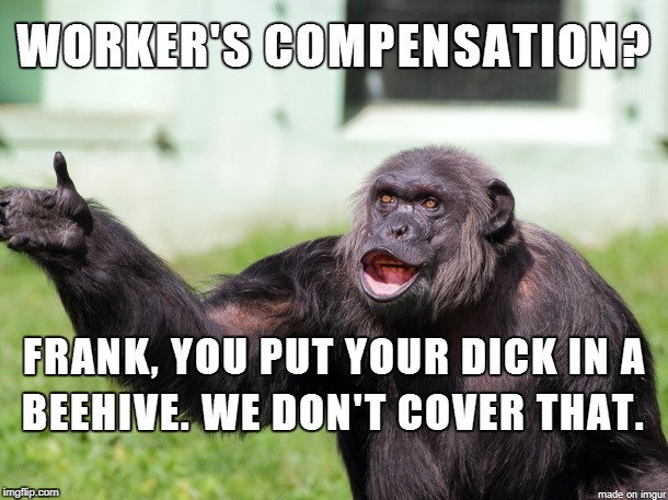 Worker's Comp | image tagged in monkey | made w/ Imgflip meme maker