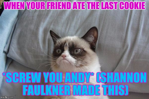 Grumpy Cat Bed Meme | WHEN YOUR FRIEND ATE THE LAST COOKIE; *SCREW YOU ANDY* (SHANNON FAULKNER MADE THIS) | image tagged in memes,grumpy cat bed,grumpy cat | made w/ Imgflip meme maker