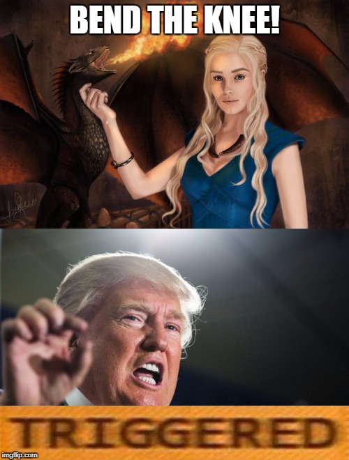 Maybe Trump watched too much GoT. | BEND THE KNEE! | image tagged in take a knee,kneeling,game of thrones,triggered,donald trump | made w/ Imgflip meme maker