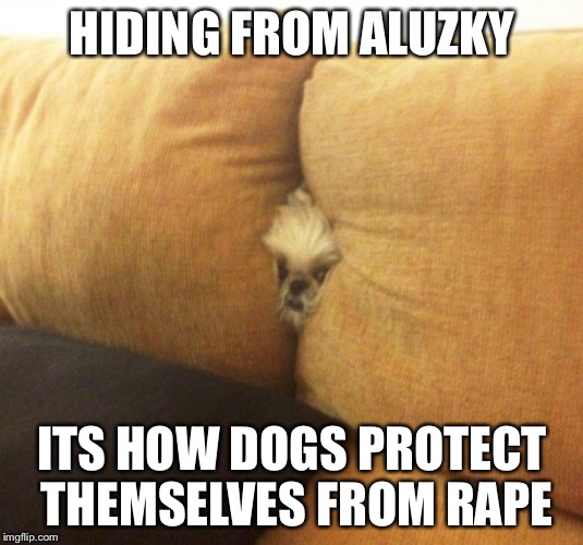 HIDING FROM ALUZKY; ITS HOW DOGS PROTECT THEMSELVES FROM RAPE | image tagged in aluzky | made w/ Imgflip meme maker