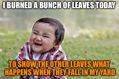 Evil ChumpChange  | I BURNED A BUNCH OF LEAVES TODAY; TO SHOW THE OTHER LEAVES WHAT HAPPENS WHEN THEY FALL IN MY YARD | image tagged in memes,evil toddler | made w/ Imgflip meme maker