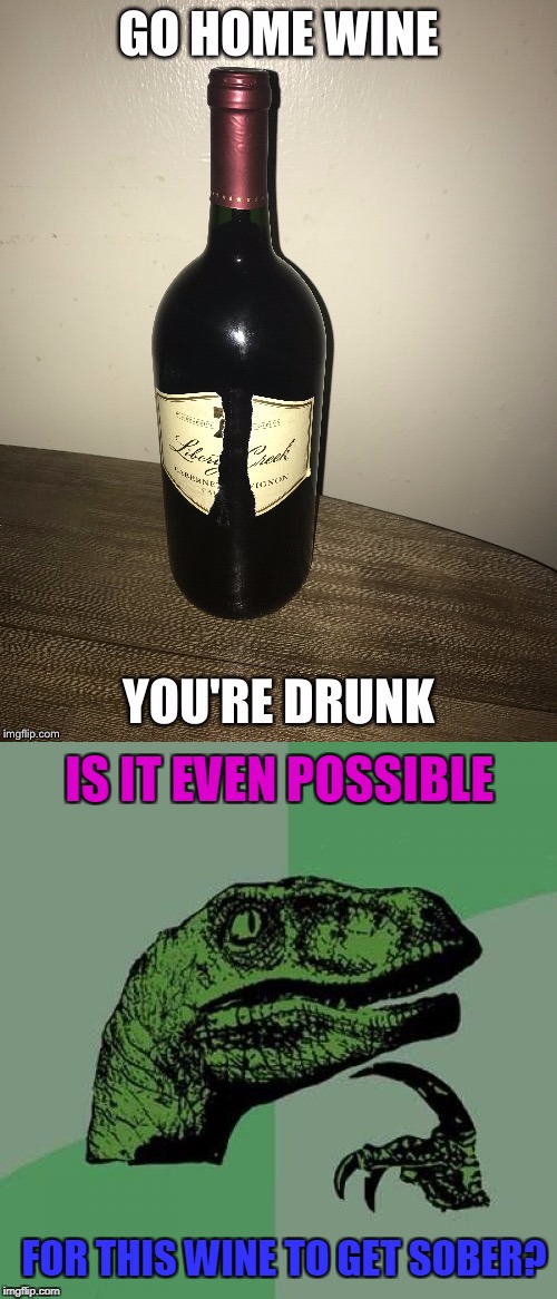 I found this on our little Imgflip and wondered....  (NOT MY WINE!) | IS IT EVEN POSSIBLE; FOR THIS WINE TO GET SOBER? | image tagged in go home youre drunk,go home you're drunk,philosoraptor | made w/ Imgflip meme maker