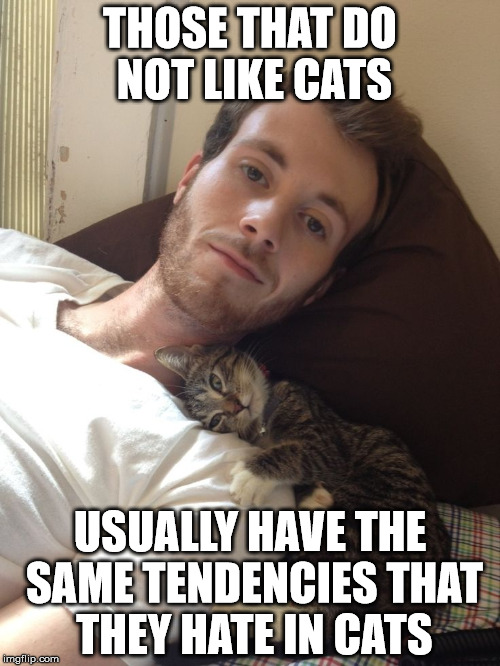 Why do some people hate cats? | THOSE THAT DO NOT LIKE CATS; USUALLY HAVE THE SAME TENDENCIES THAT THEY HATE IN CATS | image tagged in cats,haters gonna hate,personality traits | made w/ Imgflip meme maker