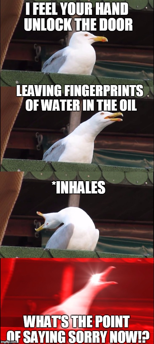Inhaling Seagull Meme | I FEEL YOUR HAND UNLOCK THE DOOR; LEAVING FINGERPRINTS OF WATER IN THE OIL; *INHALES; WHAT'S THE POINT OF SAYING SORRY NOW!? | image tagged in inhaling seagull | made w/ Imgflip meme maker