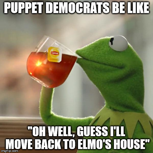 But That's None Of My Business | PUPPET DEMOCRATS BE LIKE; "OH WELL, GUESS I'LL MOVE BACK TO ELMO'S HOUSE" | image tagged in memes,but thats none of my business,kermit the frog | made w/ Imgflip meme maker