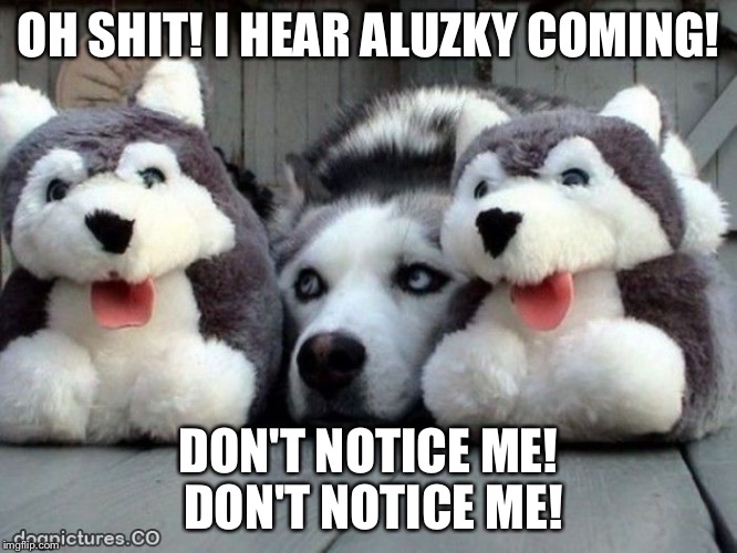 OH SHIT! I HEAR ALUZKY COMING! DON'T NOTICE ME! DON'T NOTICE ME! | image tagged in aluzky | made w/ Imgflip meme maker