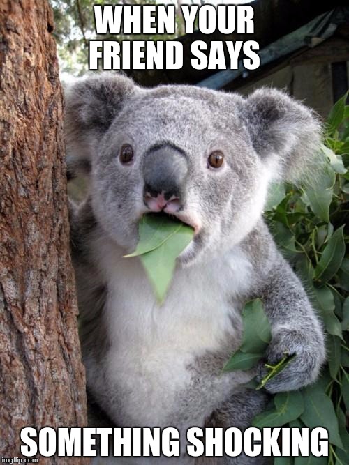 Surprised Koala Meme | WHEN YOUR FRIEND SAYS; SOMETHING SHOCKING | image tagged in memes,surprised koala | made w/ Imgflip meme maker