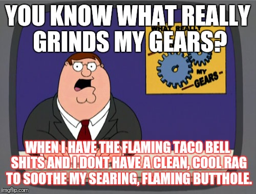 Peter Griffin News Meme | YOU KNOW WHAT REALLY GRINDS MY GEARS? WHEN I HAVE THE FLAMING TACO BELL SHITS AND I DONT HAVE A CLEAN, COOL RAG TO SOOTHE MY SEARING, FLAMING BUTTHOLE. | image tagged in memes,peter griffin news | made w/ Imgflip meme maker