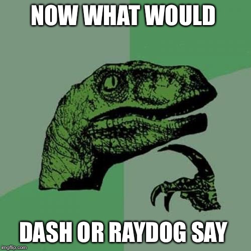 Philosoraptor Meme | NOW WHAT WOULD; DASH OR RAYDOG SAY | image tagged in memes,philosoraptor | made w/ Imgflip meme maker