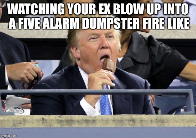 WATCHING YOUR EX BLOW UP INTO A FIVE ALARM DUMPSTER FIRE LIKE | image tagged in trump 2016 | made w/ Imgflip meme maker
