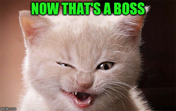 NOW THAT'S A BOSS | made w/ Imgflip meme maker
