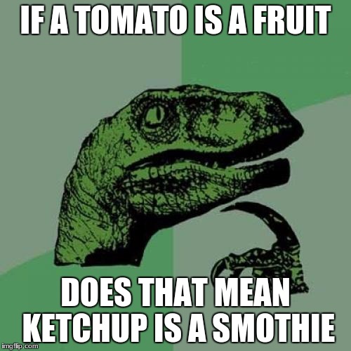 Philosoraptor | IF A TOMATO IS A FRUIT; DOES THAT MEAN KETCHUP IS A SMOTHIE | image tagged in memes,philosoraptor | made w/ Imgflip meme maker
