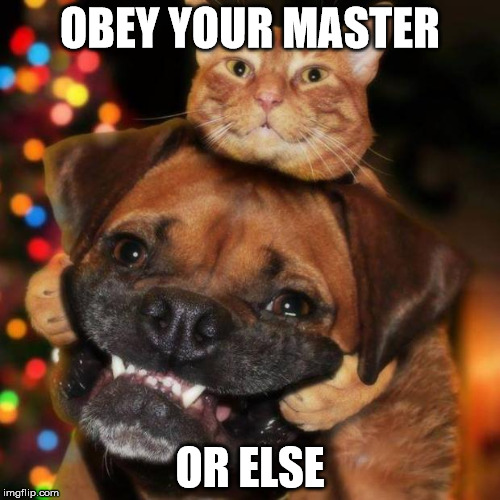 dogs an cats | OBEY YOUR MASTER; OR ELSE | image tagged in dogs an cats | made w/ Imgflip meme maker