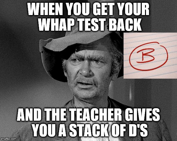 What in tarnation | WHEN YOU GET YOUR WHAP TEST BACK; AND THE TEACHER GIVES YOU A STACK OF D'S | image tagged in what in tarnation | made w/ Imgflip meme maker