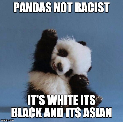 Panda | PANDAS NOT RACIST; IT'S WHITE
ITS BLACK
AND ITS ASIAN | image tagged in panda | made w/ Imgflip meme maker