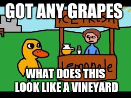 got any grapes | GOT ANY GRAPES; WHAT DOES THIS LOOK LIKE A VINEYARD | image tagged in memes | made w/ Imgflip meme maker
