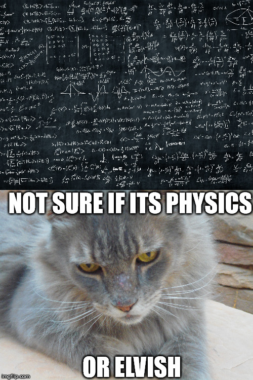 'Not sure if' cat | NOT SURE IF ITS PHYSICS; OR ELVISH | image tagged in skepticalcat,elvish,lotr | made w/ Imgflip meme maker