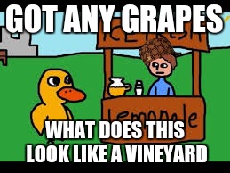got any grapes | GOT ANY GRAPES; WHAT DOES THIS LOOK LIKE A VINEYARD | image tagged in original meme | made w/ Imgflip meme maker