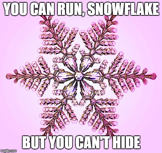 YOU CAN RUN, SNOWFLAKE BUT YOU CAN'T HIDE | made w/ Imgflip meme maker