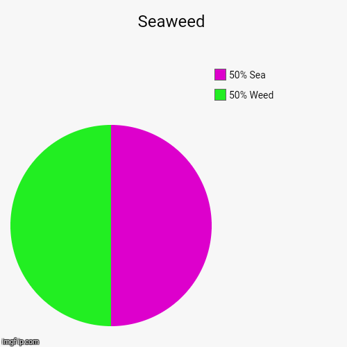 image tagged in funny,pie charts,seaweed,spongebob | made w/ Imgflip chart maker