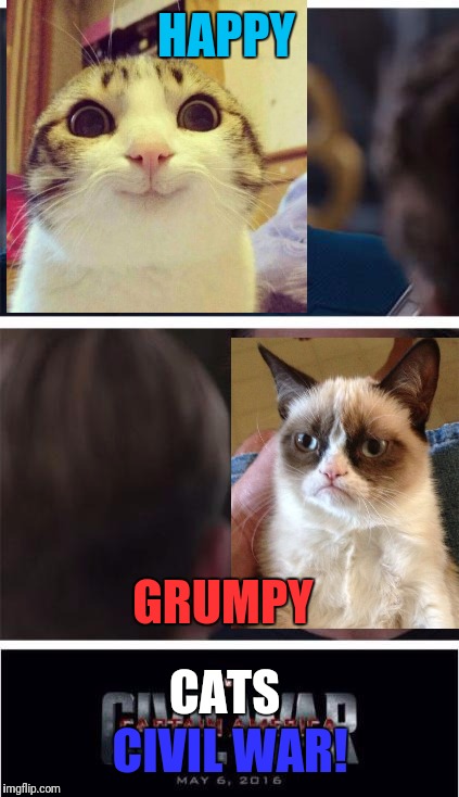 Marvel Civil War 1 Meme | HAPPY; GRUMPY; CATS; CIVIL WAR! | image tagged in memes,marvel civil war 1 | made w/ Imgflip meme maker