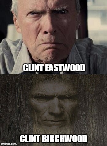 Clint Eastwood wood | CLINT EASTWOOD; CLINT BIRCHWOOD | image tagged in clint eastwood,memes,wood | made w/ Imgflip meme maker