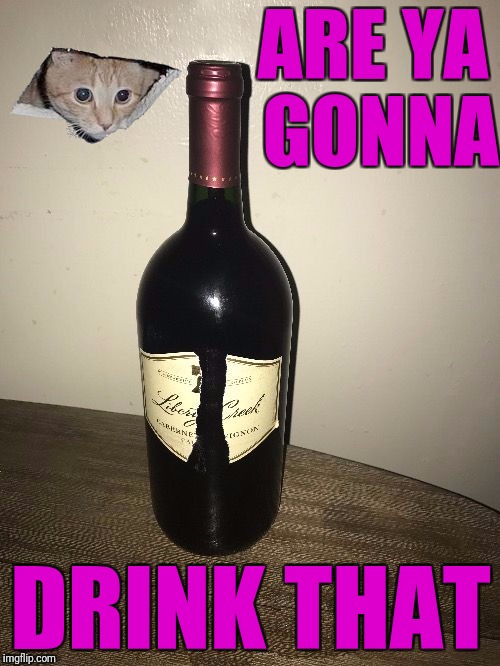 I liked it so much, I bought the winery. | ARE YA GONNA; DRINK THAT | image tagged in jessica wine,new template,ceiling cat | made w/ Imgflip meme maker