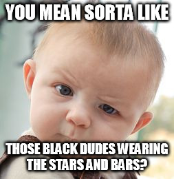 Skeptical Baby Meme | YOU MEAN SORTA LIKE THOSE BLACK DUDES WEARING THE STARS AND BARS? | image tagged in memes,skeptical baby | made w/ Imgflip meme maker