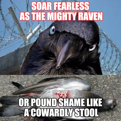 Snitch | SOAR FEARLESS AS THE MIGHTY RAVEN; OR POUND SHAME LIKE A COWARDLY STOOL | image tagged in one does not simply | made w/ Imgflip meme maker