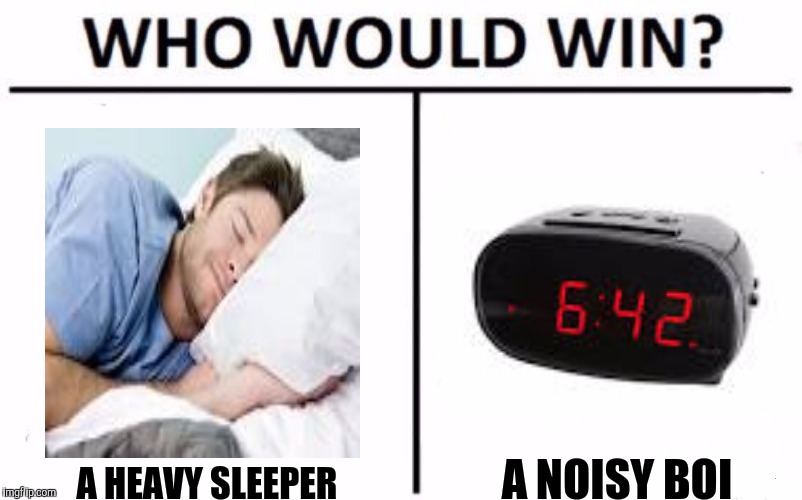 Who Would Win? | A NOISY BOI; A HEAVY SLEEPER | image tagged in who would win | made w/ Imgflip meme maker
