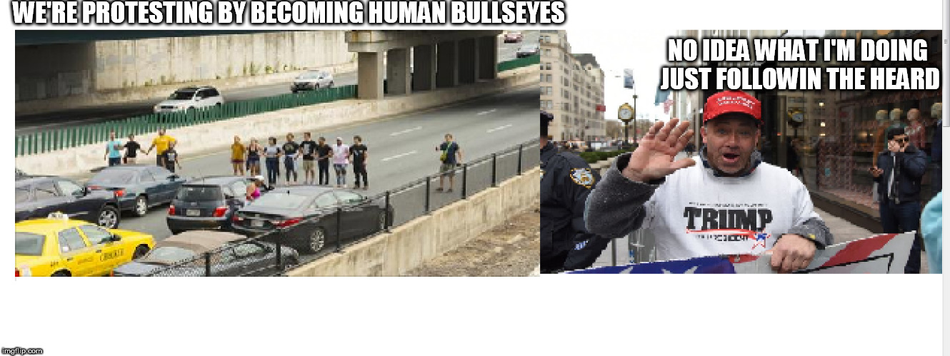   DUH! | WE'RE PROTESTING BY BECOMING HUMAN BULLSEYES; NO IDEA WHAT I'M DOING JUST FOLLOWIN THE HEARD | image tagged in protertors,heard follower,trump,standing on highway,idiocy at its  finest | made w/ Imgflip meme maker